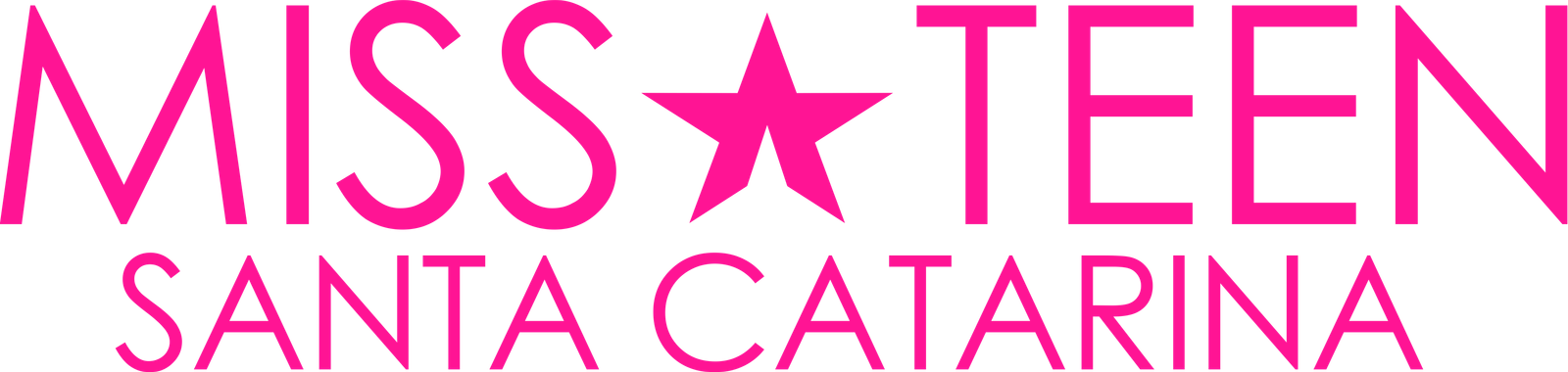 Miss TEEN Santa Catarina 2025/2026